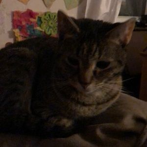 Meet your Posher, Tina